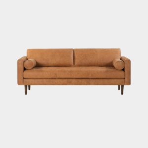 Poly and Bark – Napa Leather Couch