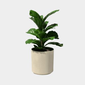 Veradek – Round Demi Planter Pot Set for Indoor and Outdoor Use